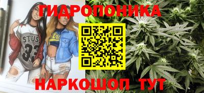 Альфа ПВП Ливны
