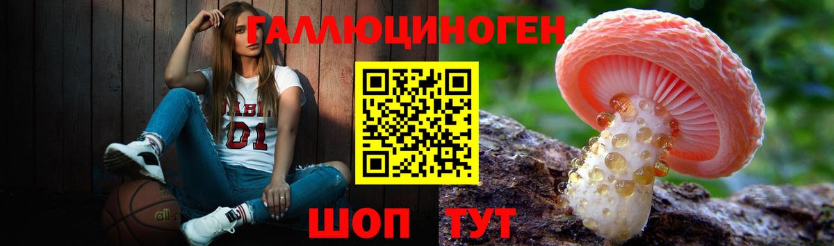 Галлюциногенные грибы ЛСД  Вход с VPN  Псилоцибиновые грибы GOLDEN TEACHER  Елизово 